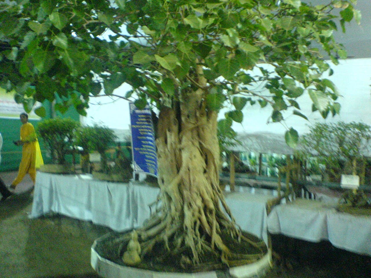 Indian show floor, Kochi