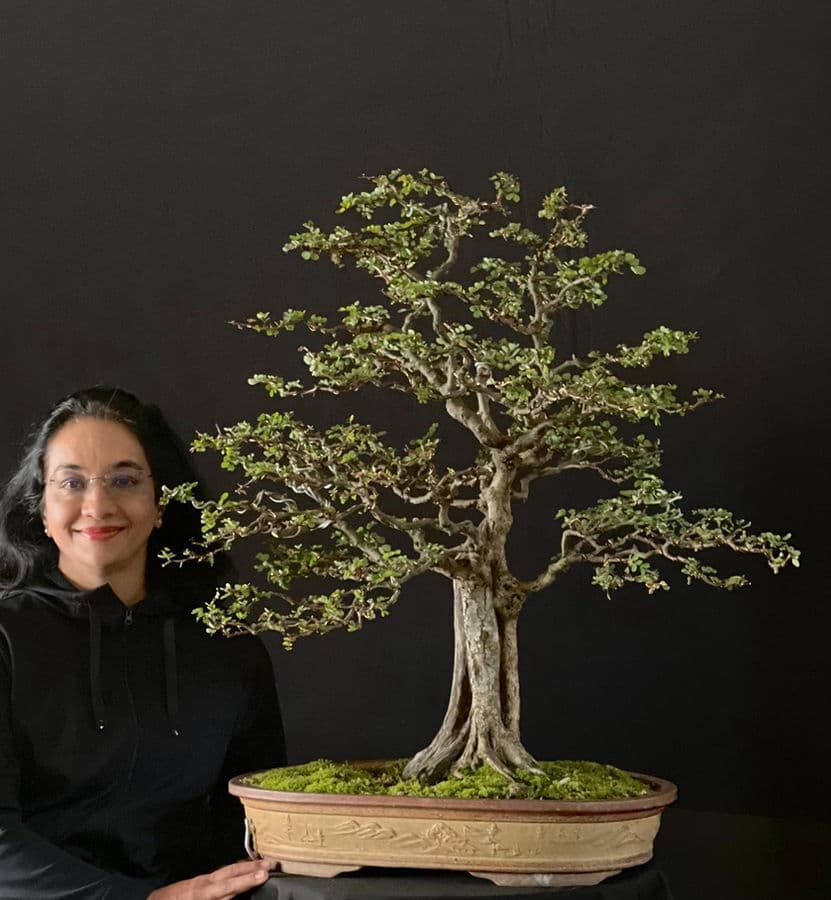 Anupama Vedachala