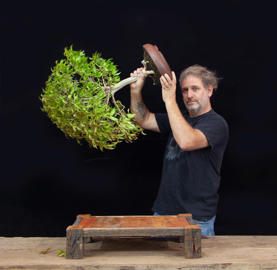 Sergio Luciani